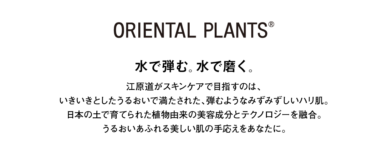 オリエンタルプランツ | 商品情報江原道 KohGenDo - 隙のない美しい肌へ -
